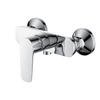 ROSE Series Wall Mounting Shower Mixer