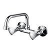 TULIP Series Wall-mounted Sink Faucet for Kitchen