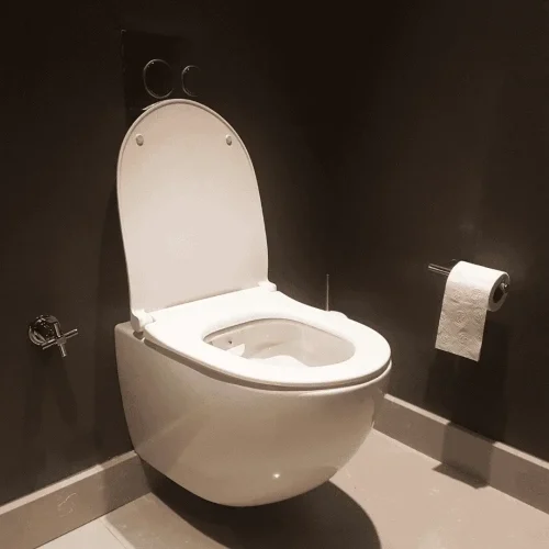 Wall-mounted modern toilet with minimalist flush design.